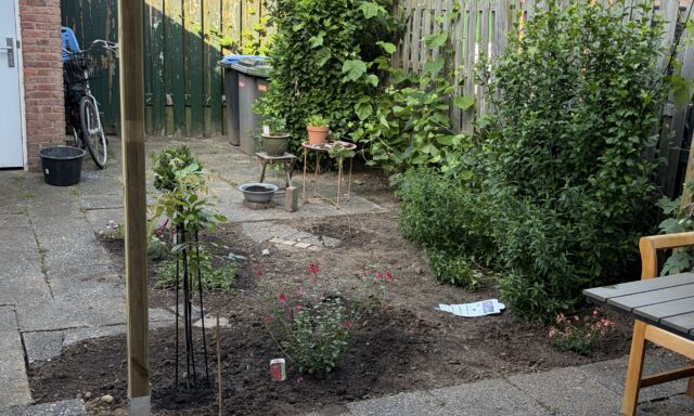 tuin met minder tegels